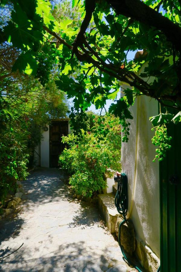 Cortijo Paraiso Charcon Higuera Exteriör bild