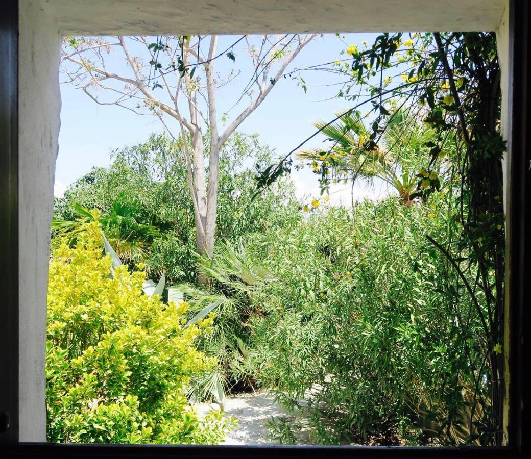 Cortijo Paraiso Charcon Higuera Exteriör bild