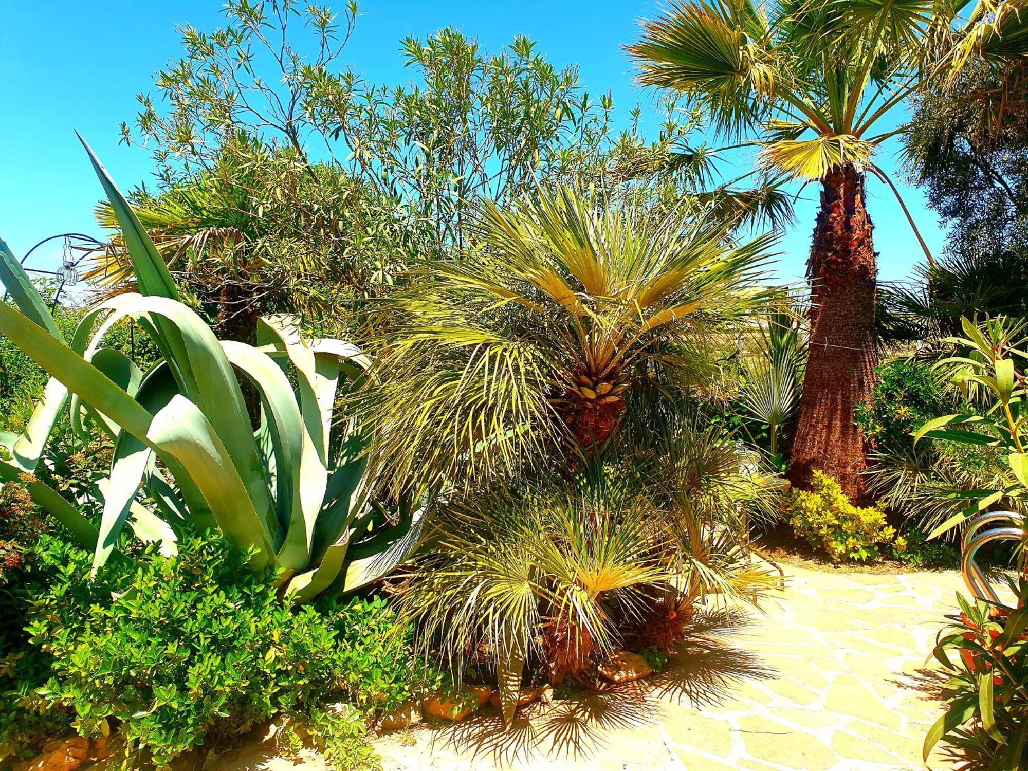 Cortijo Paraiso Charcon Higuera Rum bild