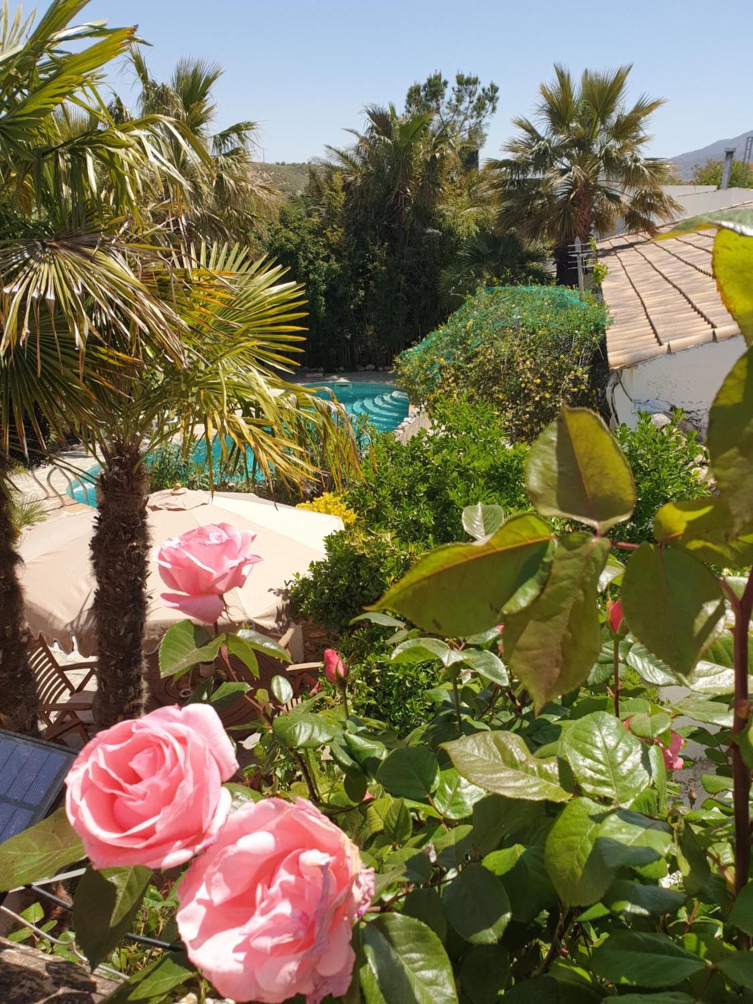 Cortijo Paraiso Charcon Higuera Exteriör bild